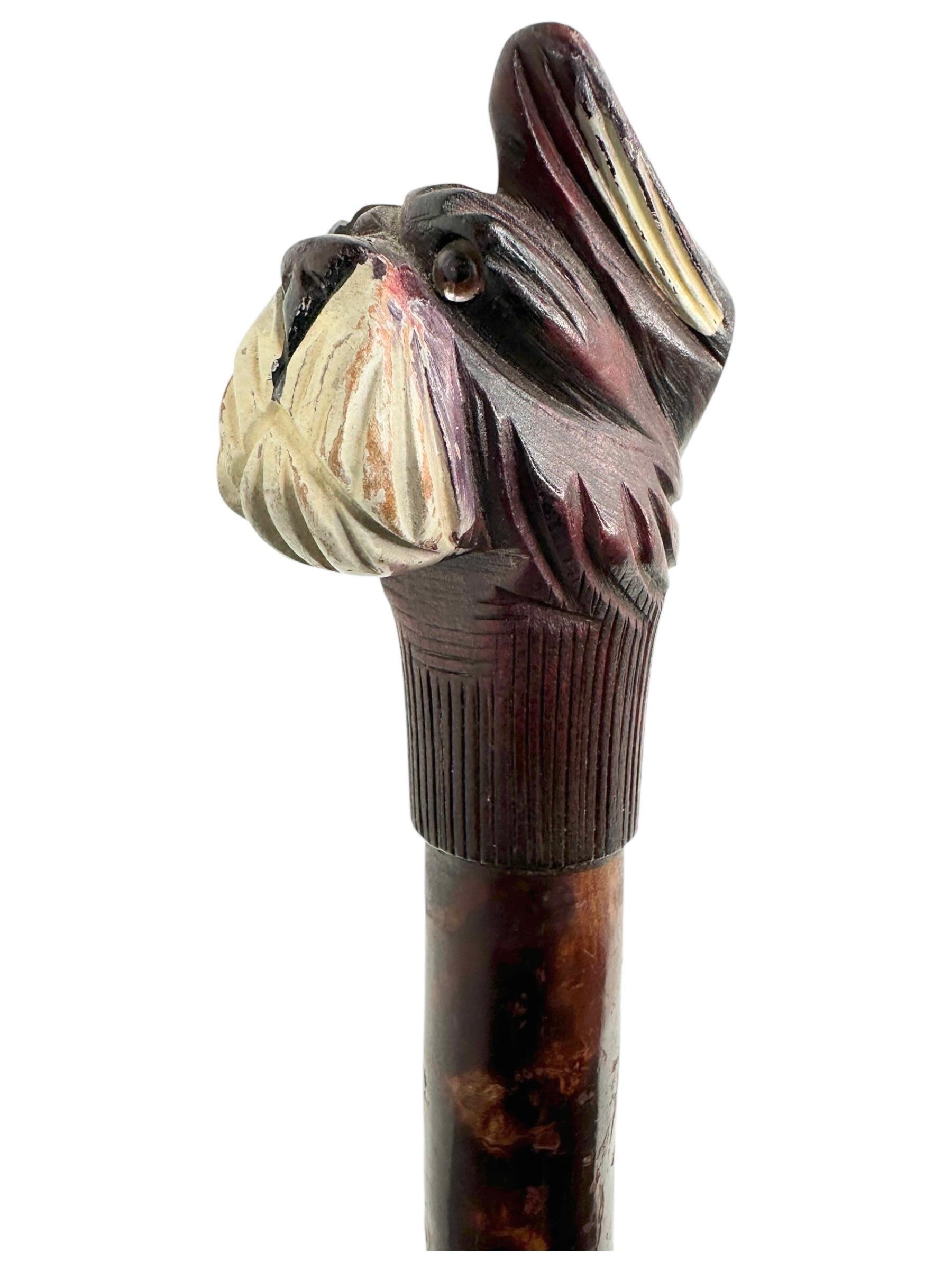 Beautiful hand carved dog head walking stick cane. Manufactured in the Black Forest or Brienz Area at the end of the 19th or early 20th century. Wonderfully expressive representation of a scotty dog. Classic made with glass eyes. Purchased at an