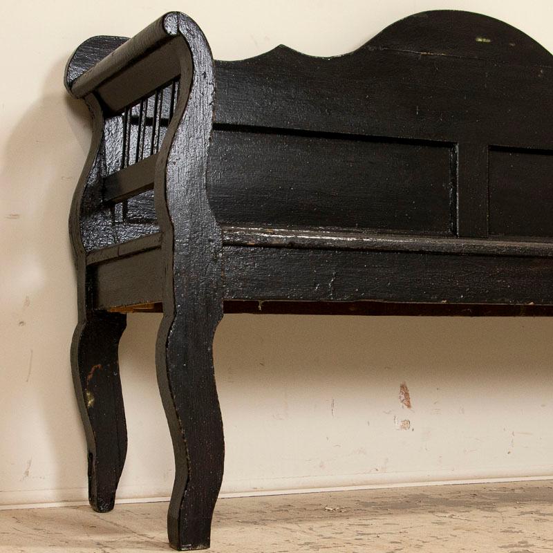 19th Century Antique Black Painted Bench with Curved Back