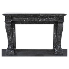 Antique Black St Anne's Marble Napoleon III Style Fire Surround