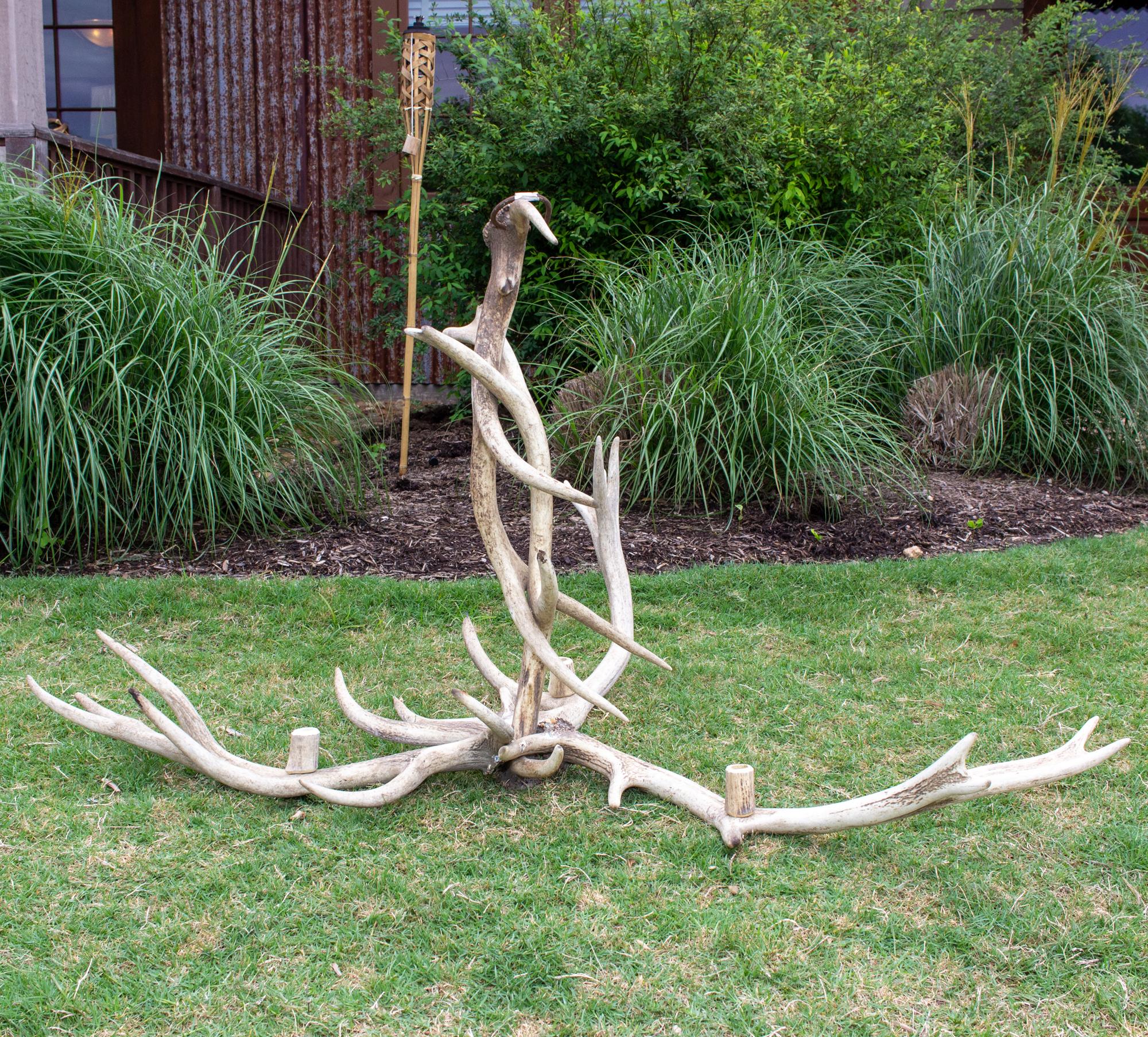 Antique Bleached Antler Chandelier found in France In Good Condition In Houston, TX