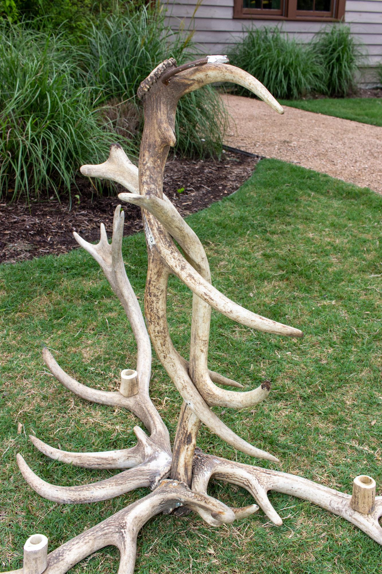 20th Century Antique Bleached Antler Chandelier found in France