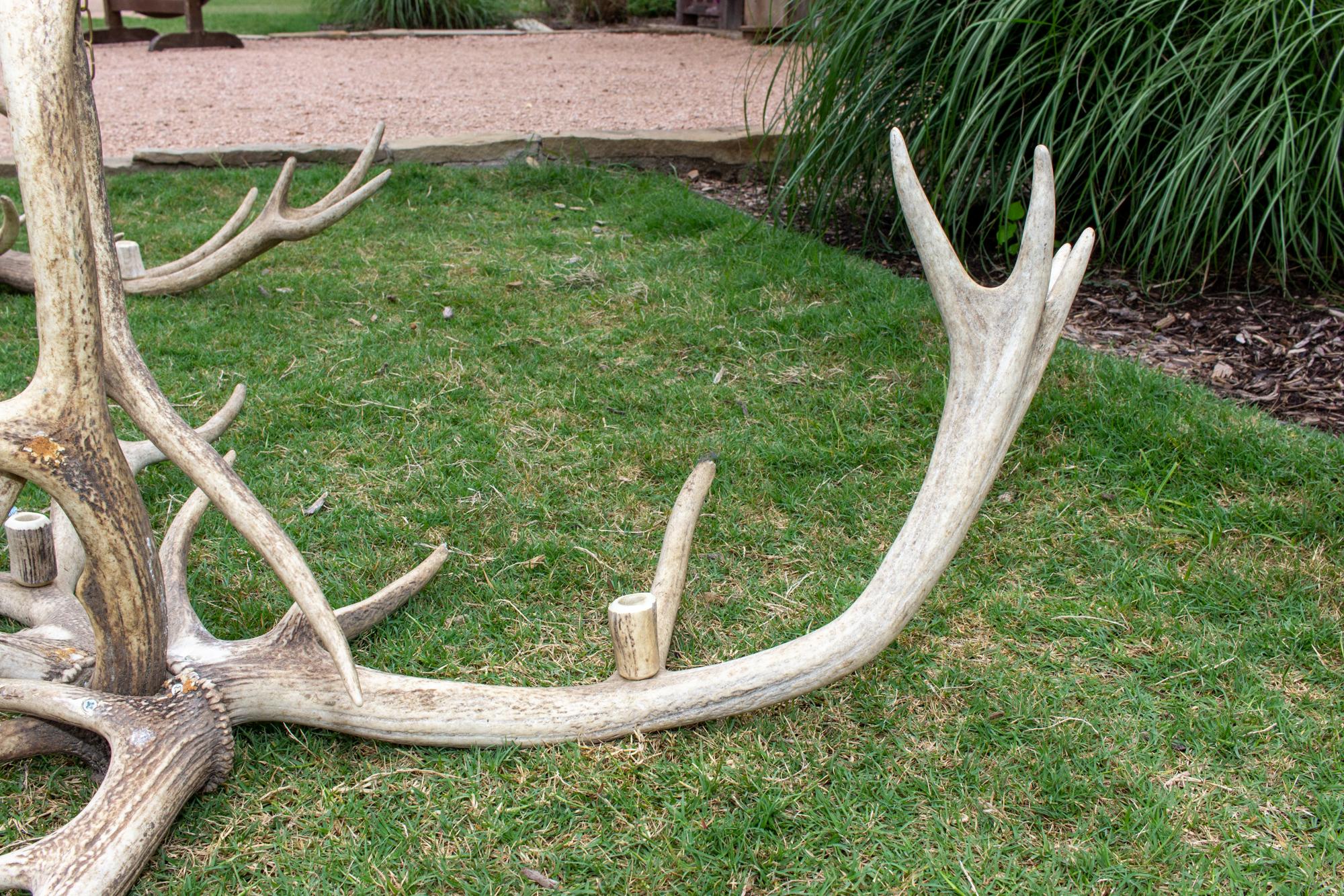 Antique Bleached Antler Chandelier found in France 1