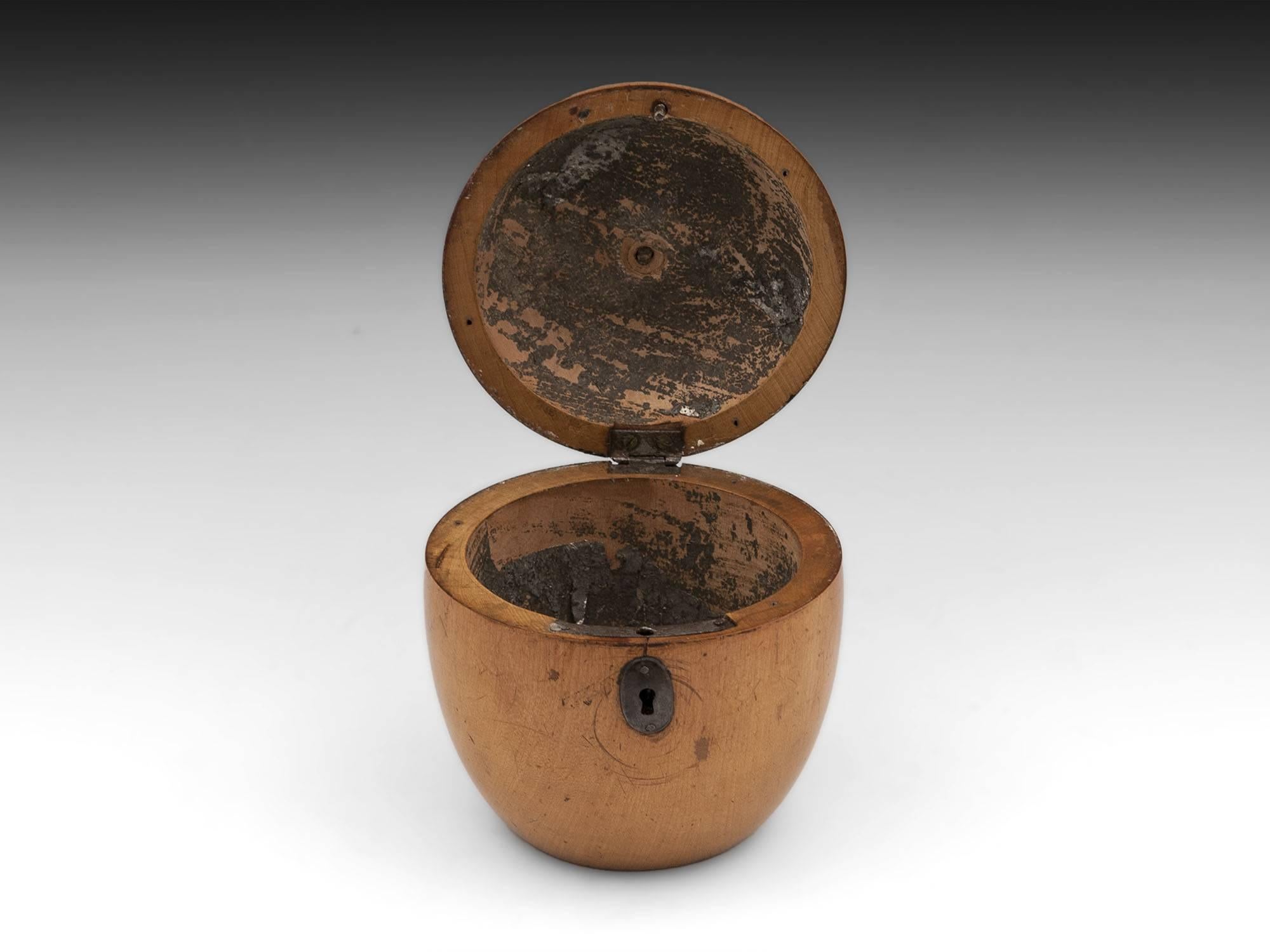 Antique Blonde Treen Apple Fruit Tea Caddy In Good Condition In Northampton, United Kingdom