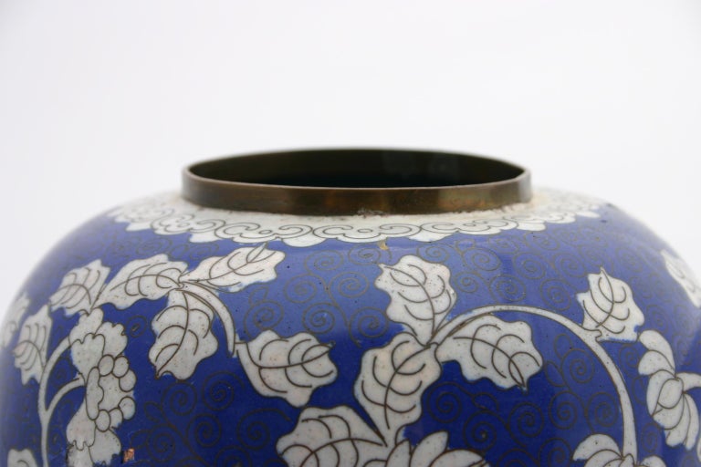 Antique Blue and White Chinese Cloisonné Chrysanthemum Ginger Jar For Sale 2