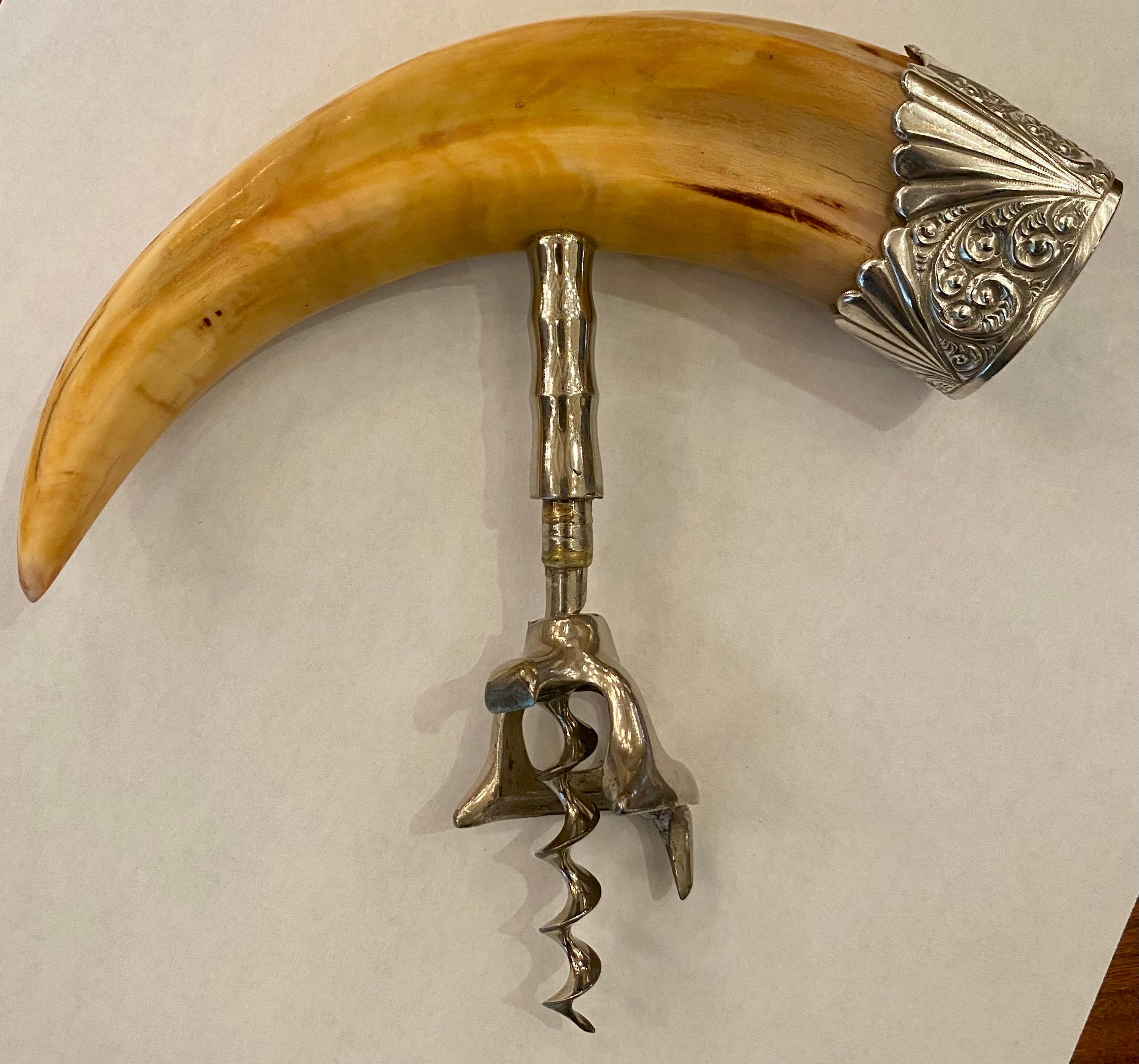 Fine antique Boar's tusk corkscrew with sterling silver mount, circa 1900-1910.
 