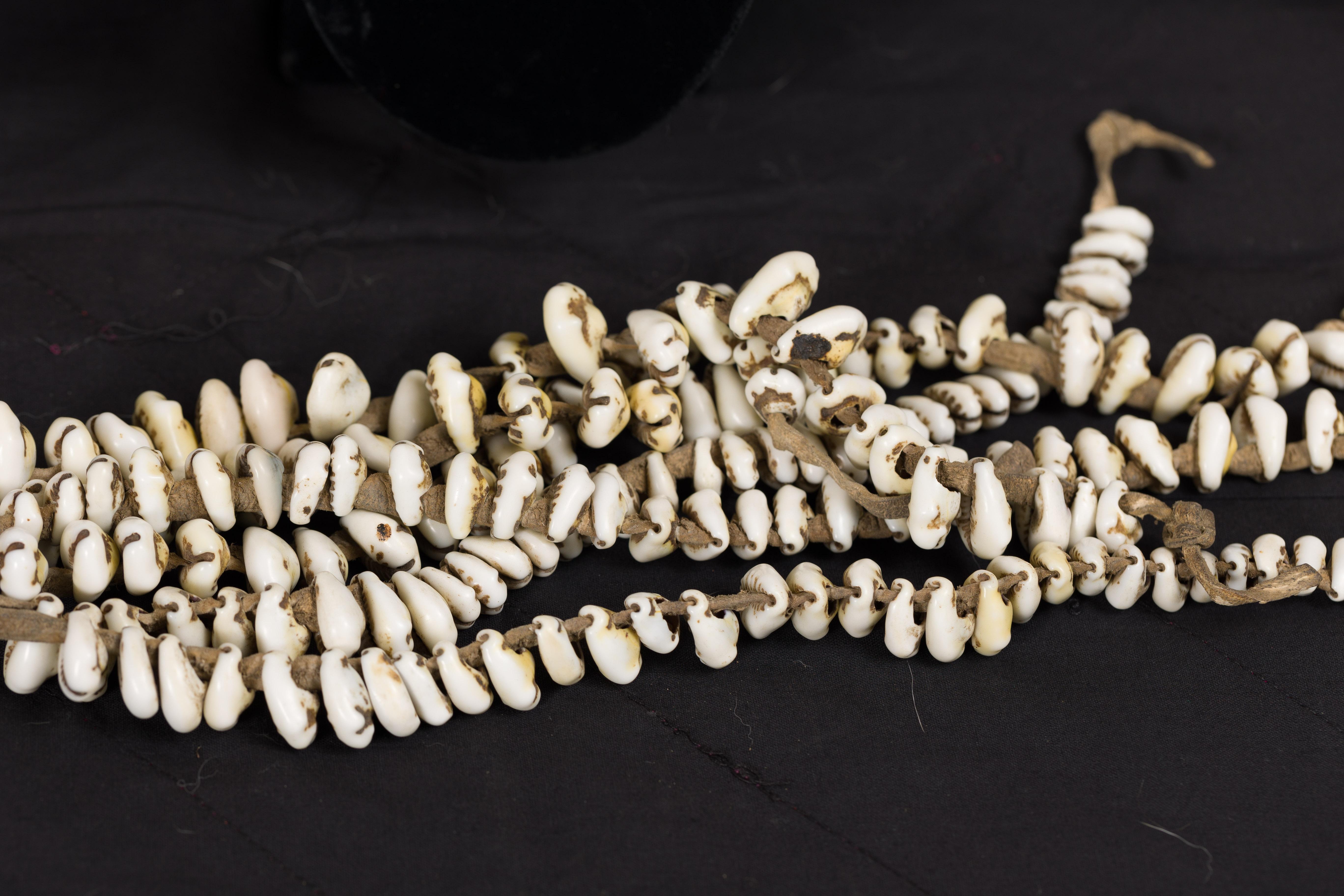 Antike Korpusschmuck aus Himalaya-Muscheln, verschlossen mit Messingschnalle im Angebot 10