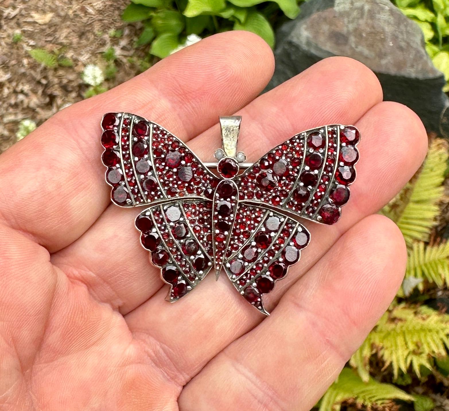 dali brooch