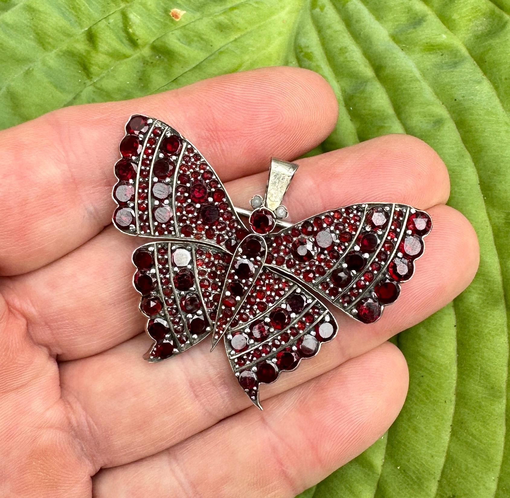 Mixed Cut Antique Bohemian Red Garnet Pearl Butterfly Insect Pendant Or Brooch Silver For Sale
