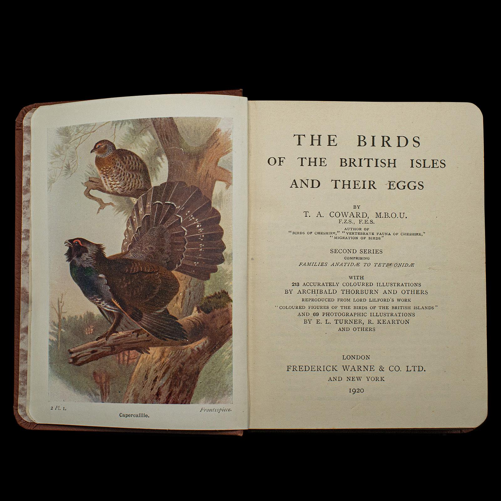 Mid-Century Modern Antique Book, Birds Of The British Isles, English, Ornithology Reference, C.1920 For Sale