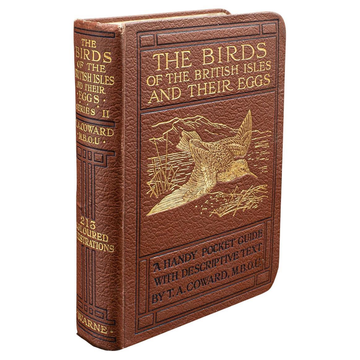 Antique Book, Birds Of The British Isles, English, Ornithology Reference, C.1920