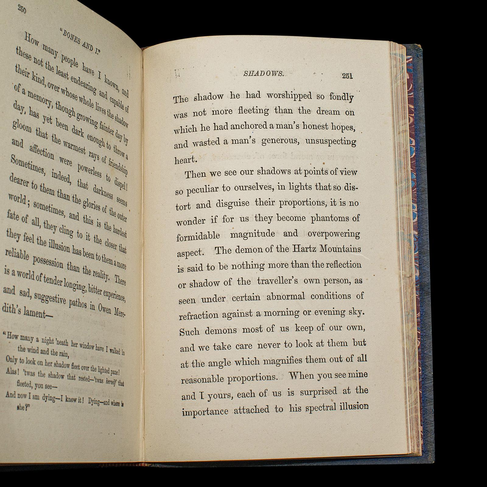 Antique Book, Bones and I, Whyte-Melville, English, Novel, Victorian, Circa 1880 For Sale 5