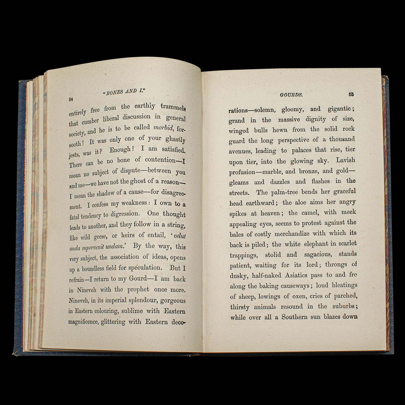 Antique Book, Bones and I, Whyte-Melville, English, Novel, Victorian, Circa 1880 For Sale 1