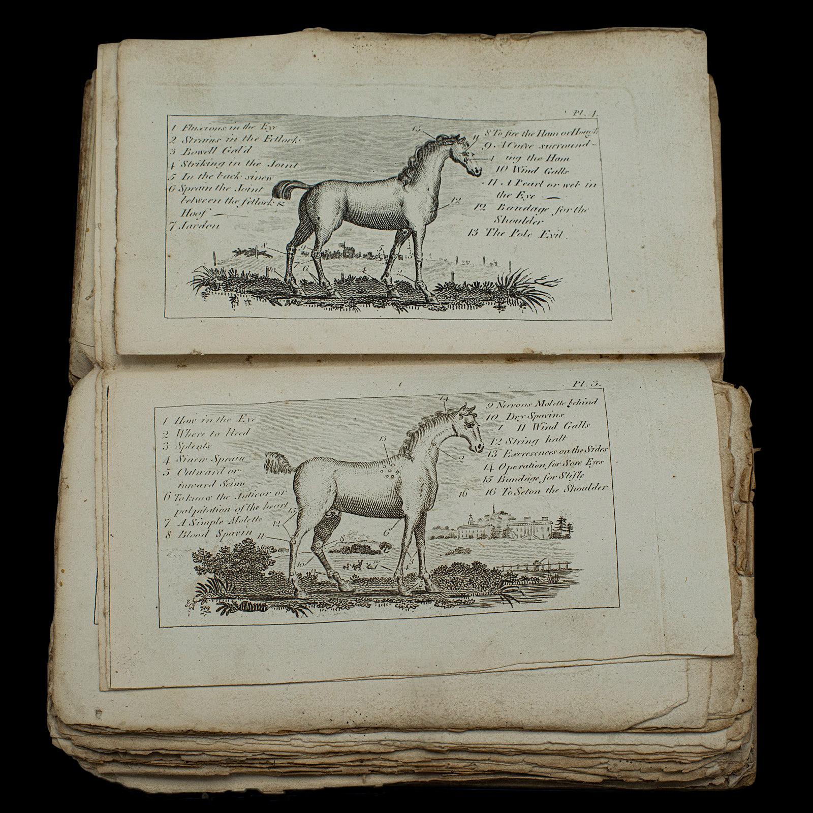 Livre ancien Compendium of Farriery, anglais, géorgien, équestre, Londres 1796 en vente 3