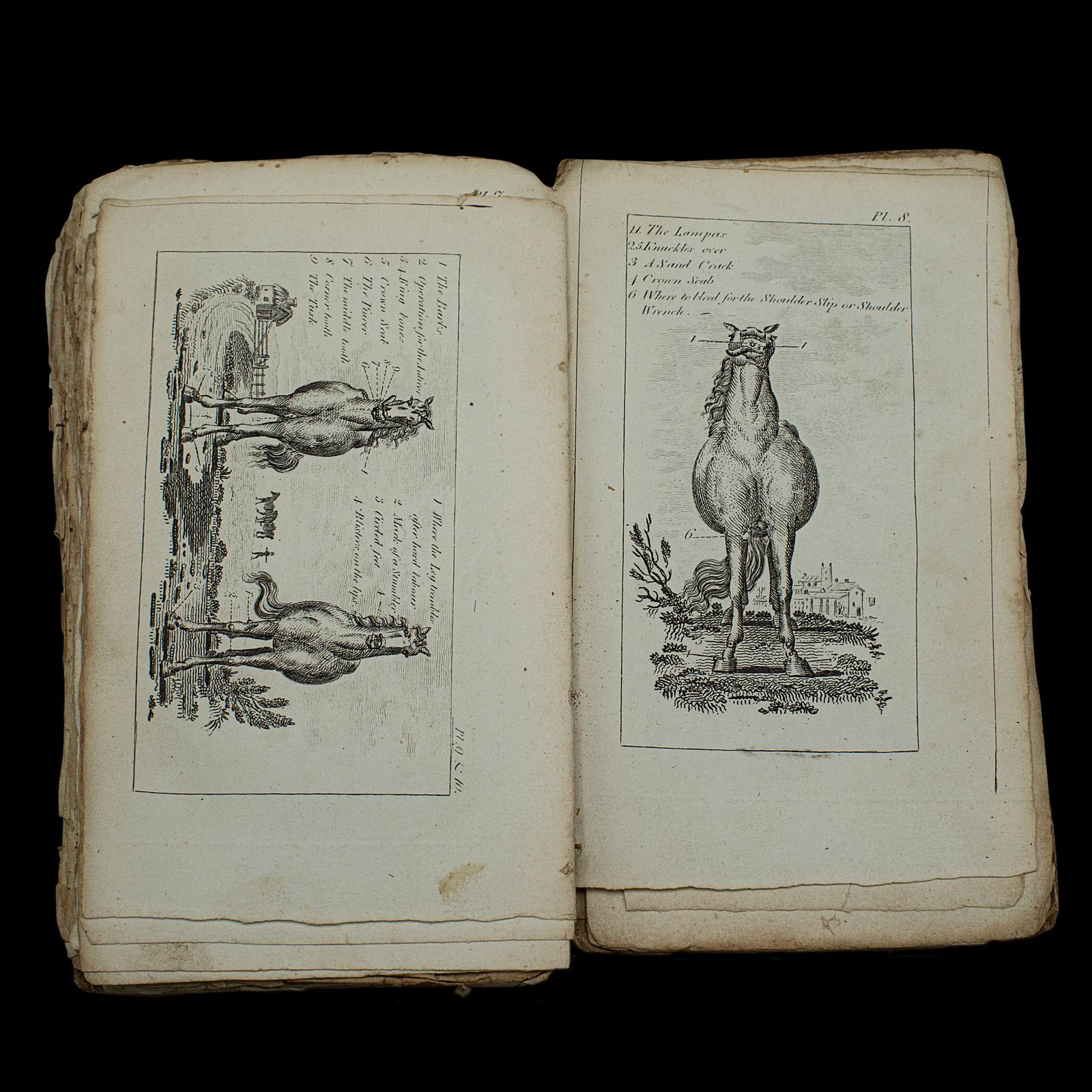 Antique Book, Compendium of Farriery, English, Georgian, Equestrian, London 1796 For Sale 5