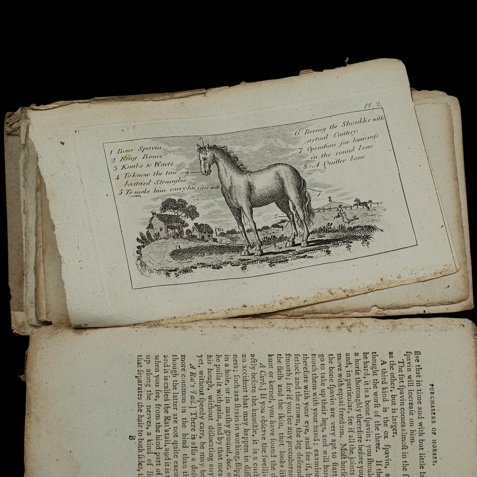 18th Century Antique Book, Compendium of Farriery, English, Georgian, Equestrian, London 1796 For Sale