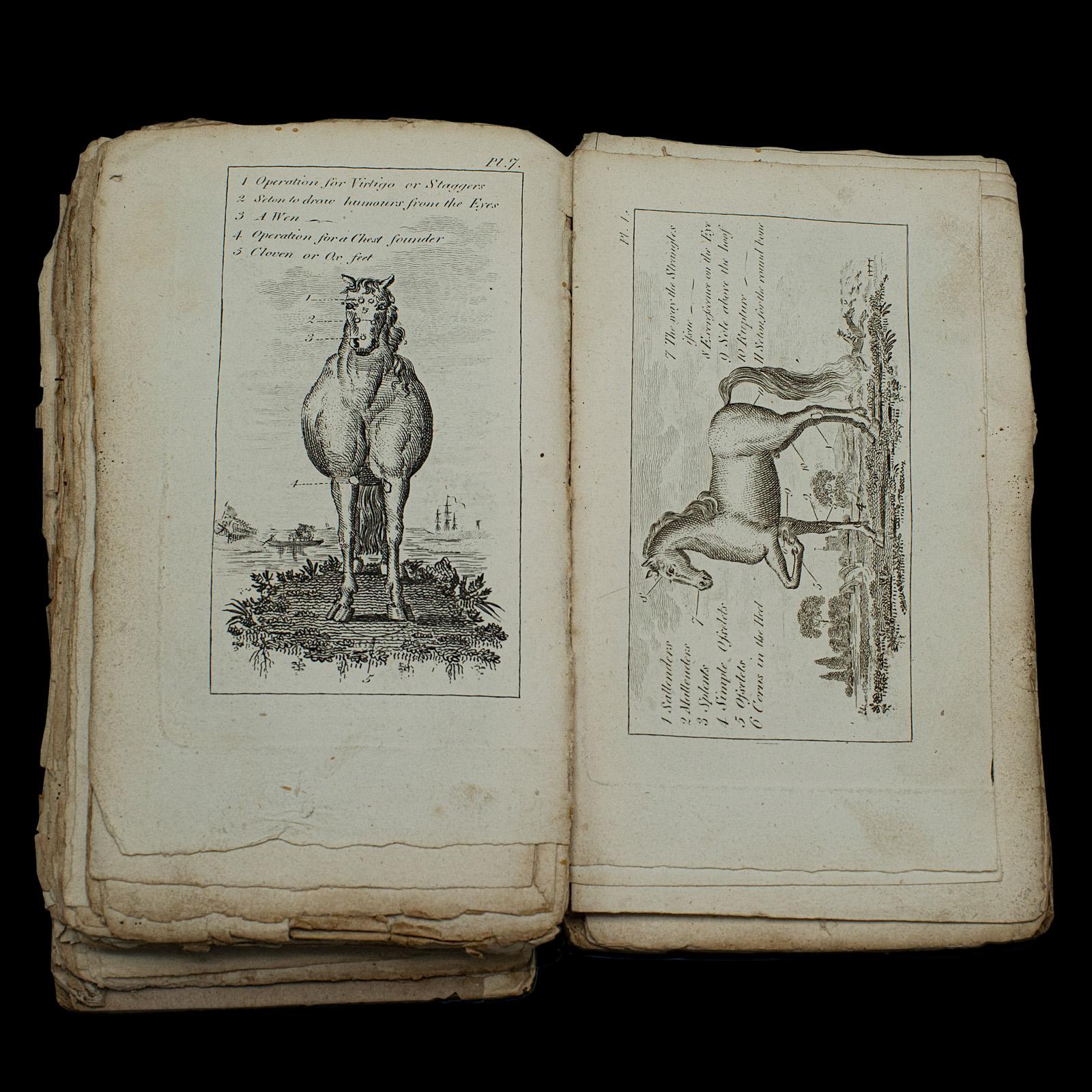 Antique Book, Compendium of Farriery, English, Georgian, Equestrian, London 1796 For Sale 3