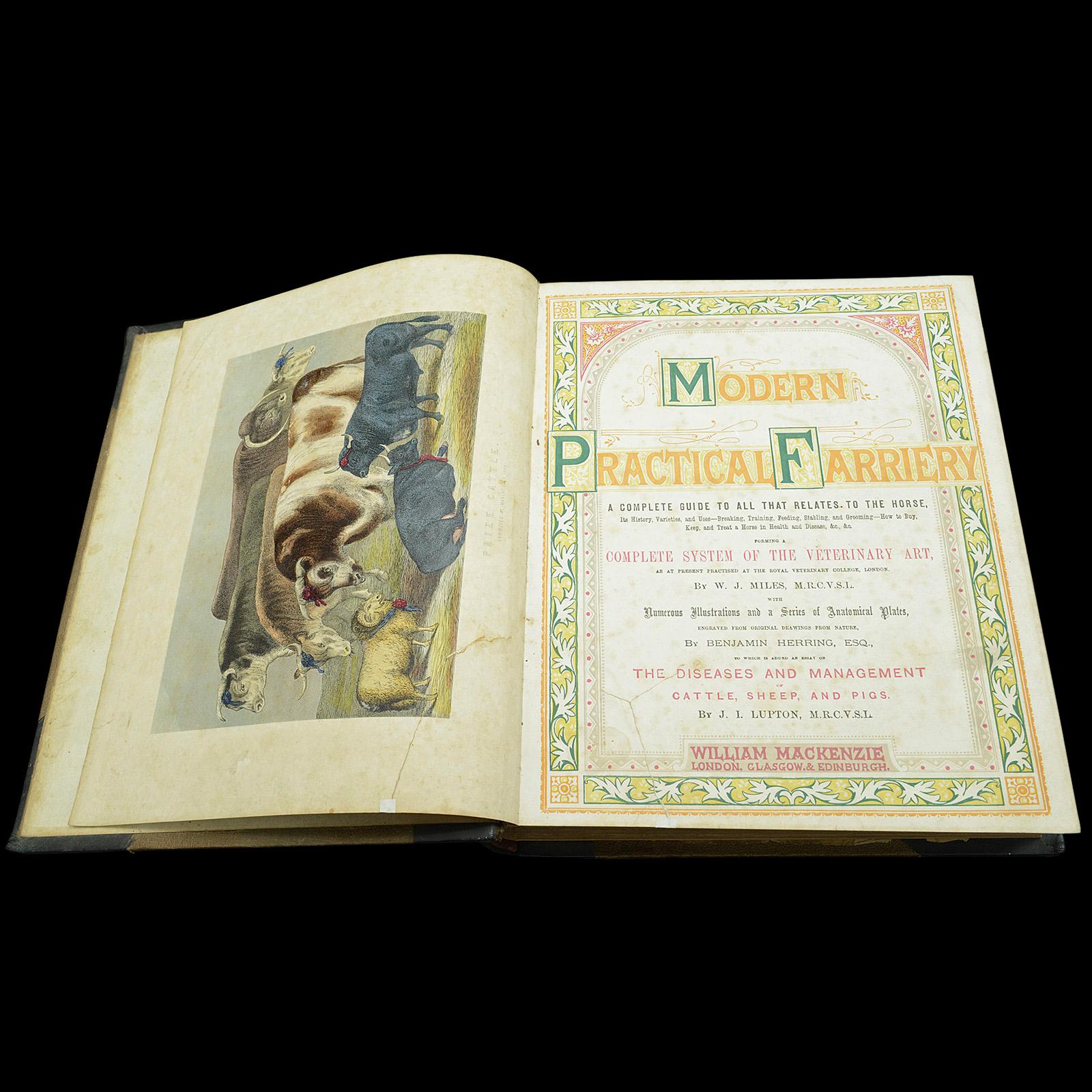 British Antique Book Modern Practical Farriery, WJ Miles, English Language, Circa 1900 For Sale
