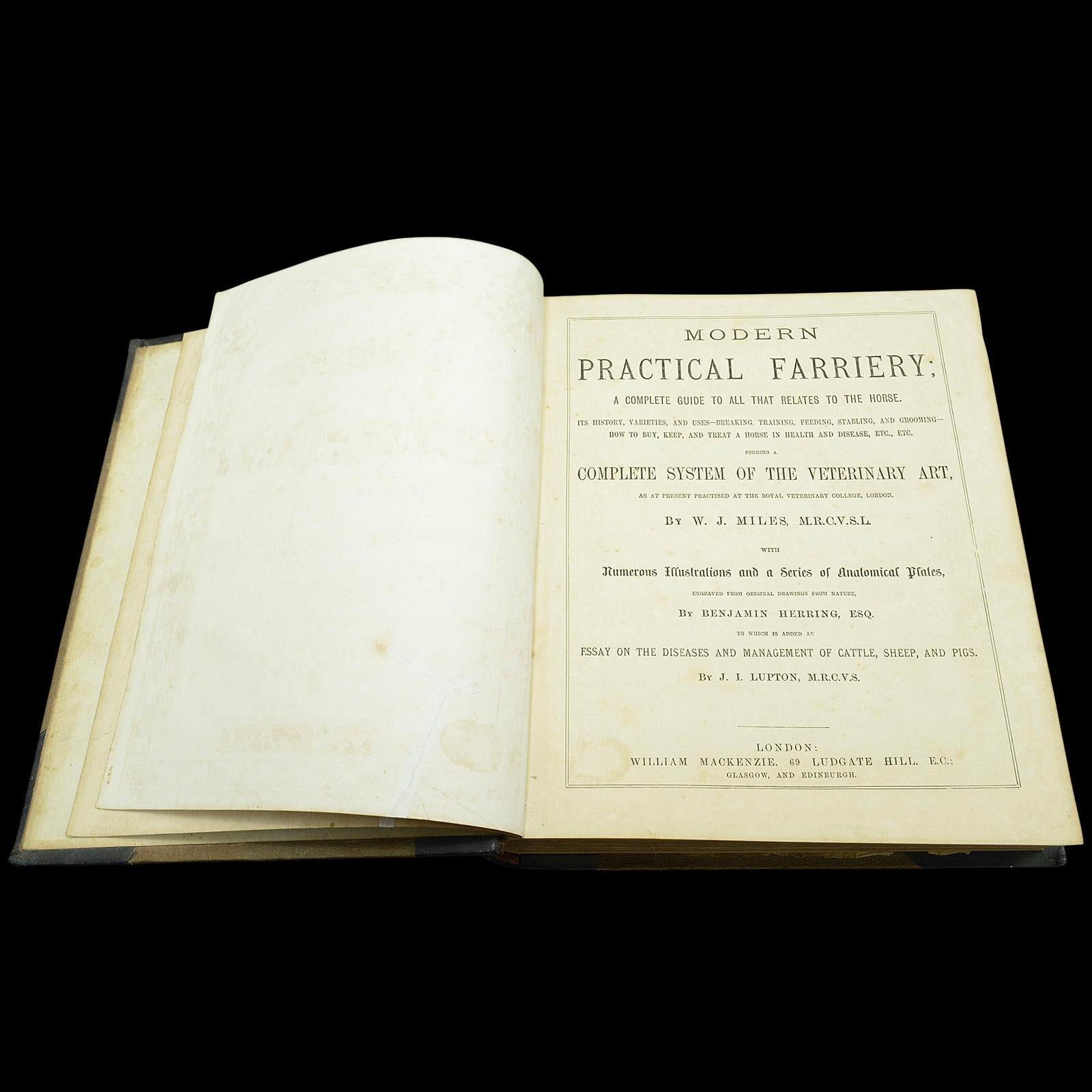 Antique Book Modern Practical Farriery, WJ Miles, English Language, Circa 1900 In Good Condition For Sale In Hele, Devon, GB