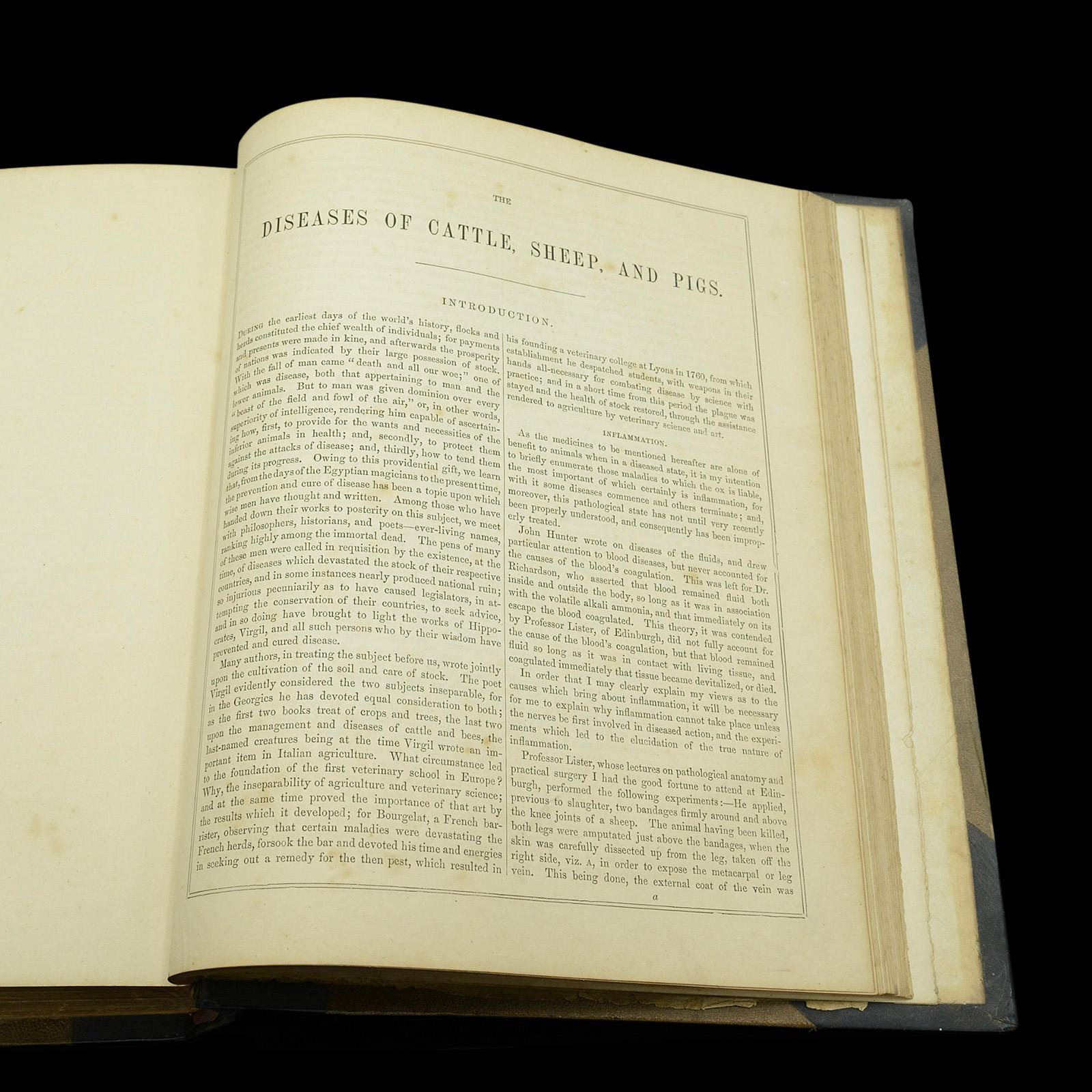 Libro antico Modern Practical Farriery, WJ Miles, lingua inglese, CIRCA 1900 in vendita 3