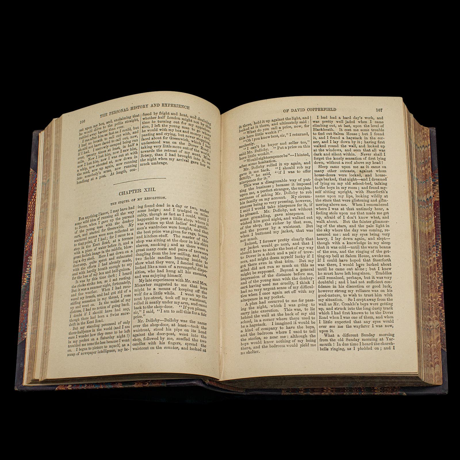 Antikes Buchset, 13 Bände Charles Dickens-Romane, englisch, figürlich, viktorianisch, viktorianisch im Angebot 4
