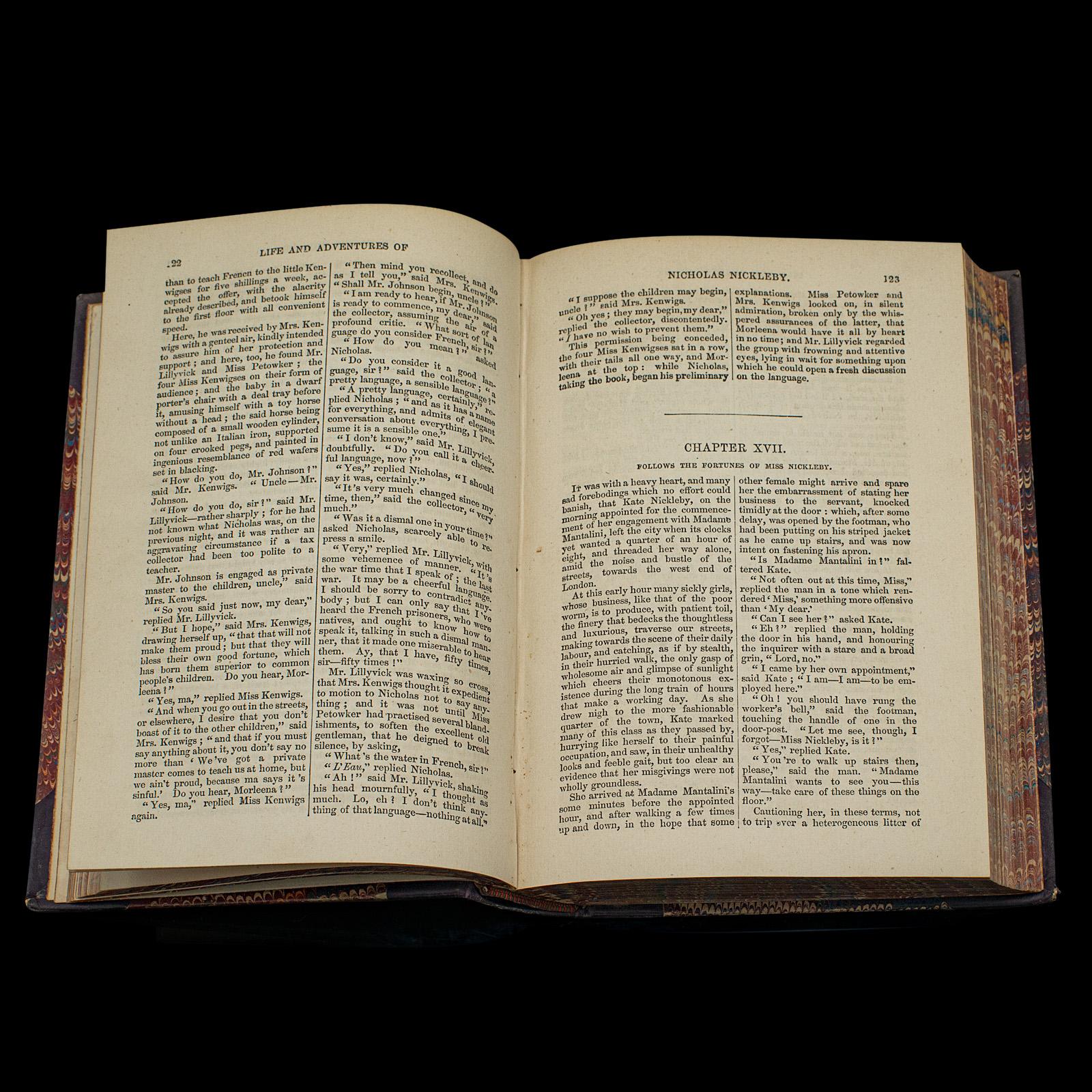 Antikes Buchset, 13 Bände Charles Dickens-Romane, englisch, figürlich, viktorianisch, viktorianisch im Angebot 2