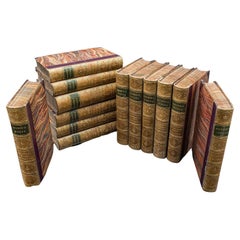 Antikes Buchset, 13 Bände Charles Dickens-Romane, englisch, figürlich, viktorianisch, viktorianisch