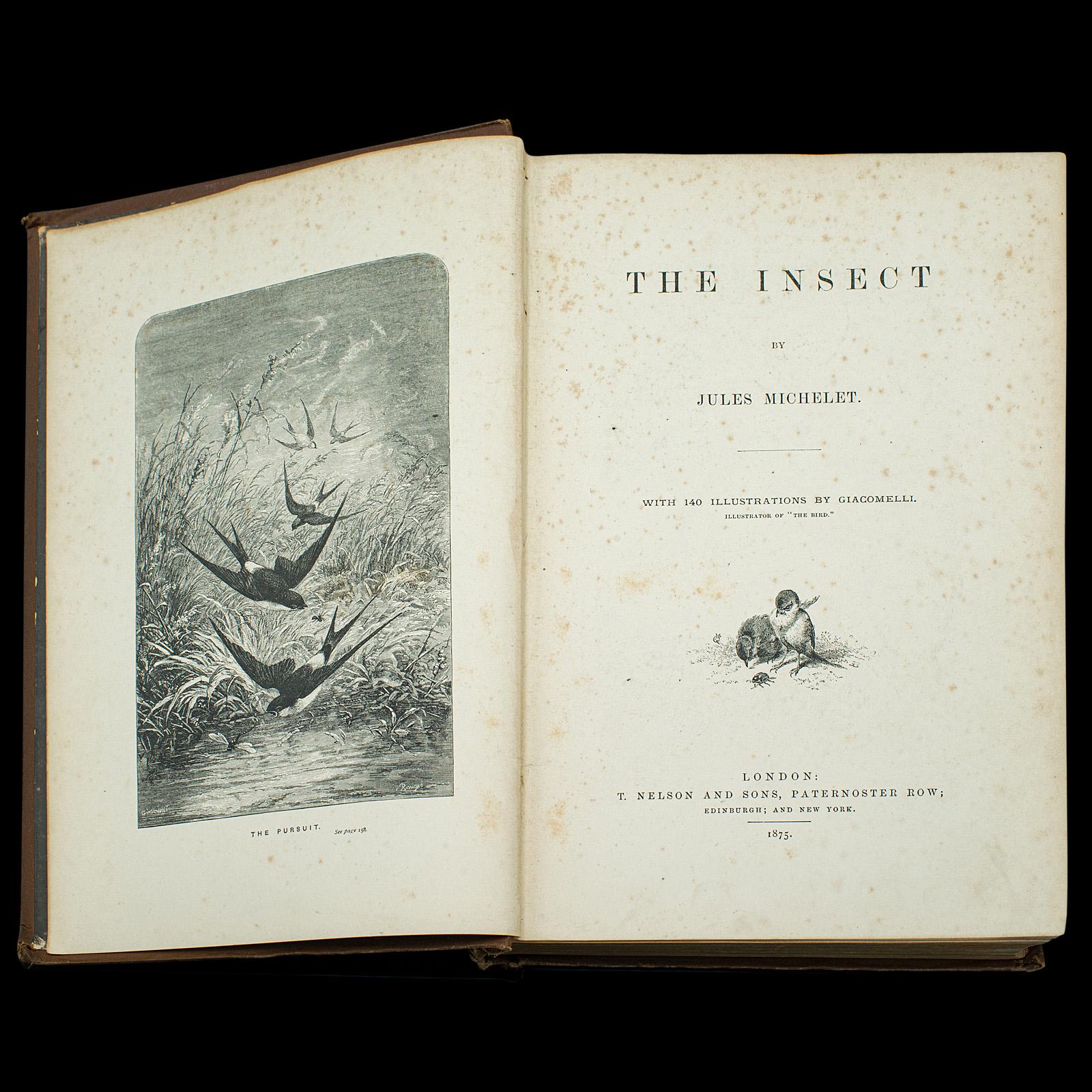 Antique Book, The Insect, Jules Michelet, English, Nature, Reference, Victorian In Good Condition For Sale In Hele, Devon, GB