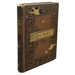 Libro antico, L'insetto, Jules Michelet, Inglese, Nature, Riferimento, Vittoriano