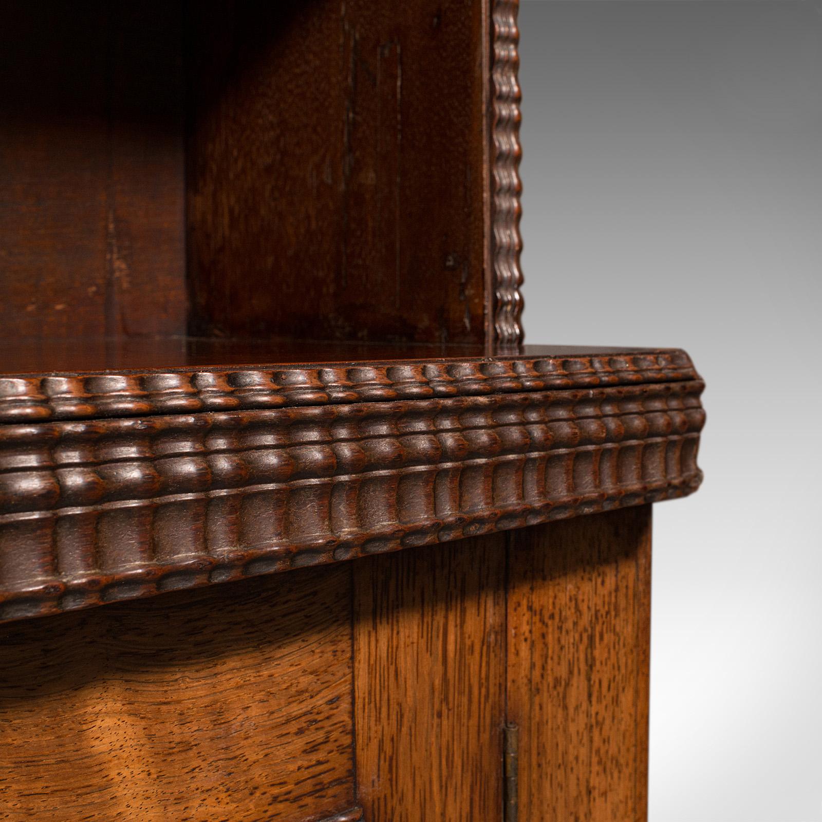 Antiker Bücherregalschrank, englisch, seitlich, Cocktail-Schrank, Regency, um 1820 4