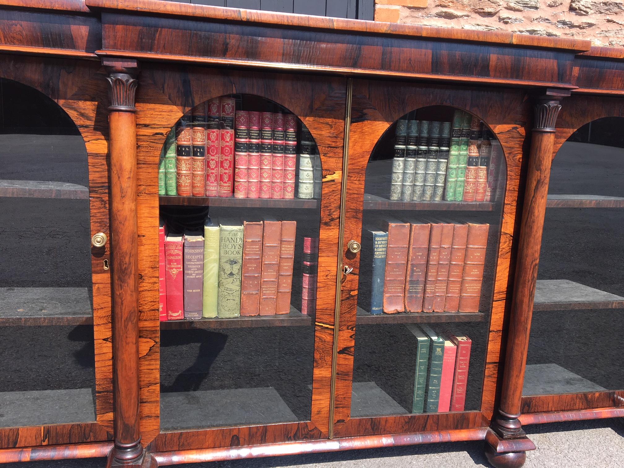 William IV Antique Bookcase in Rosewood, English, circa 1830