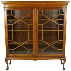 Antique Bookcase, Walnut Display Cabinet, 2 Astragal Doors, Antiques, B1254 Antique Bookcase, Walnut Display Cabinet, 2 Astragal Doors, Antiques, B1254