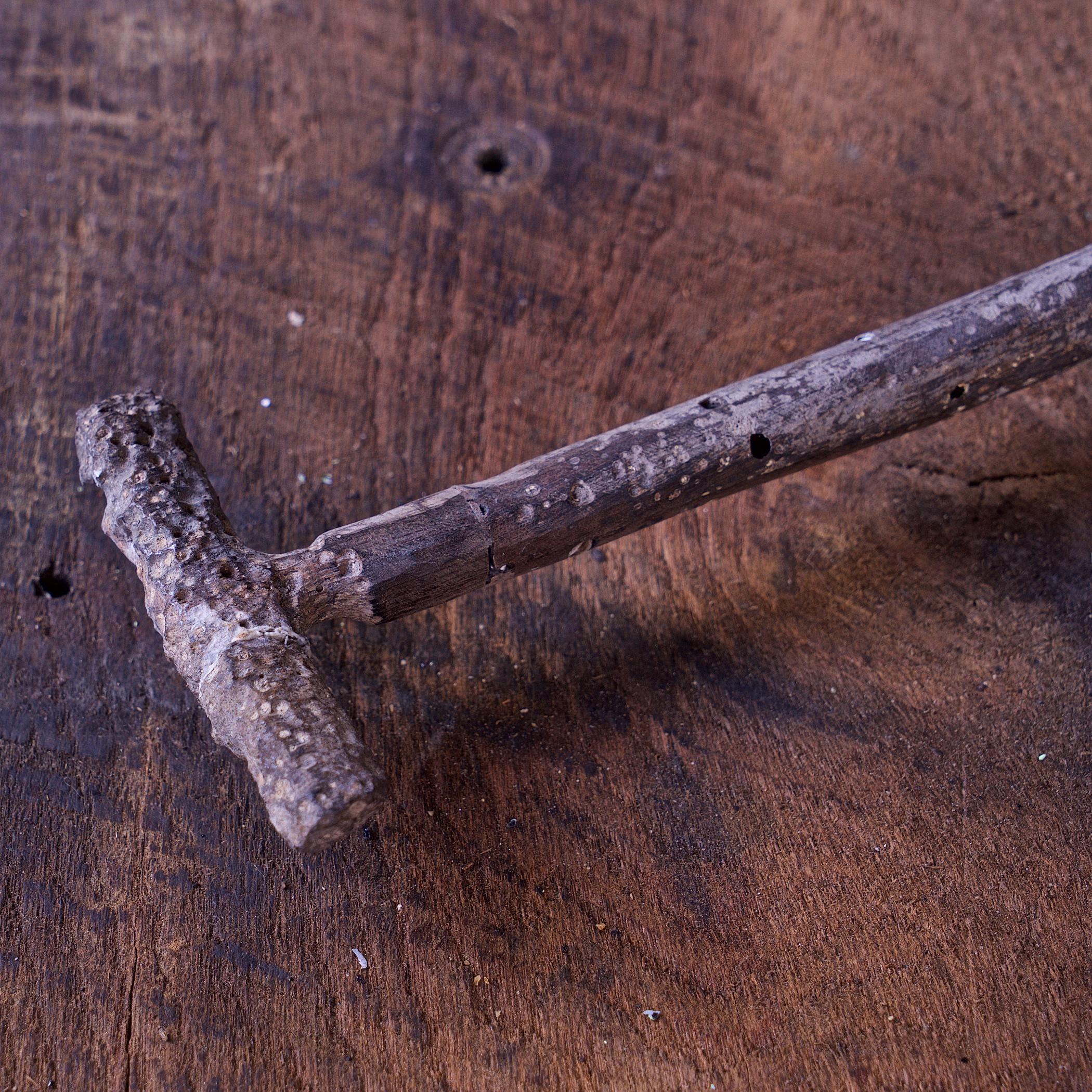 19th Century Antique Borneo Ironwood Sea Salvaged Ceremonial Wedding Paddle Art Sculpture For Sale