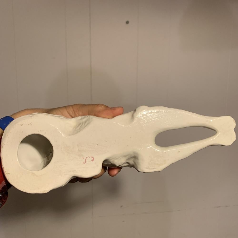 Antica statuetta di cane Borzoi in porcellana o ceramica in vendita 2