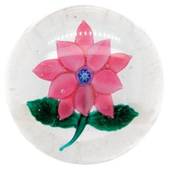 Antique Boston & Sandwich Pink Poinsettia Glass Paperweight