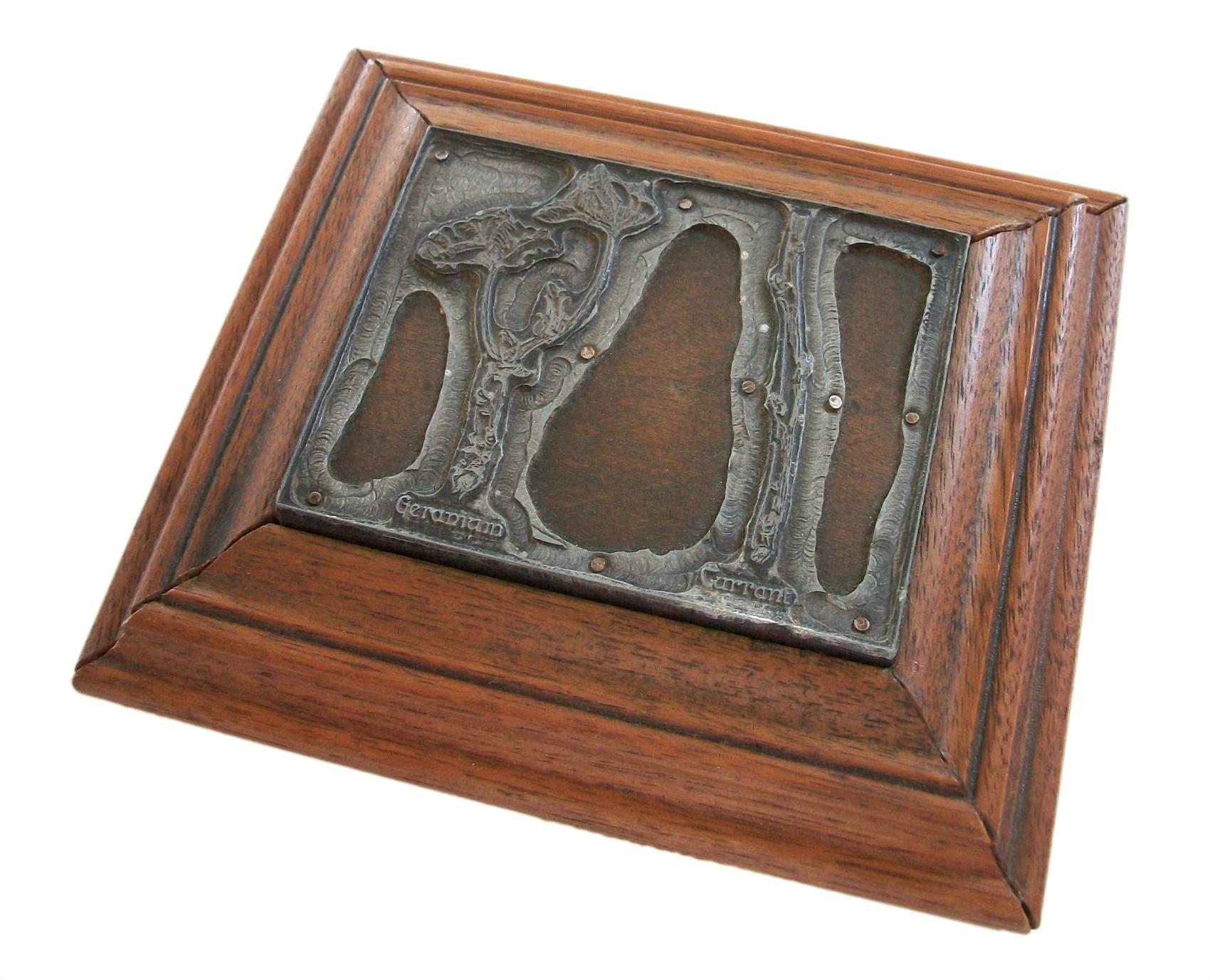 Victorian Antique Botanical Book Printing / Engraving Plate, Walnut Frame, 19th Century For Sale