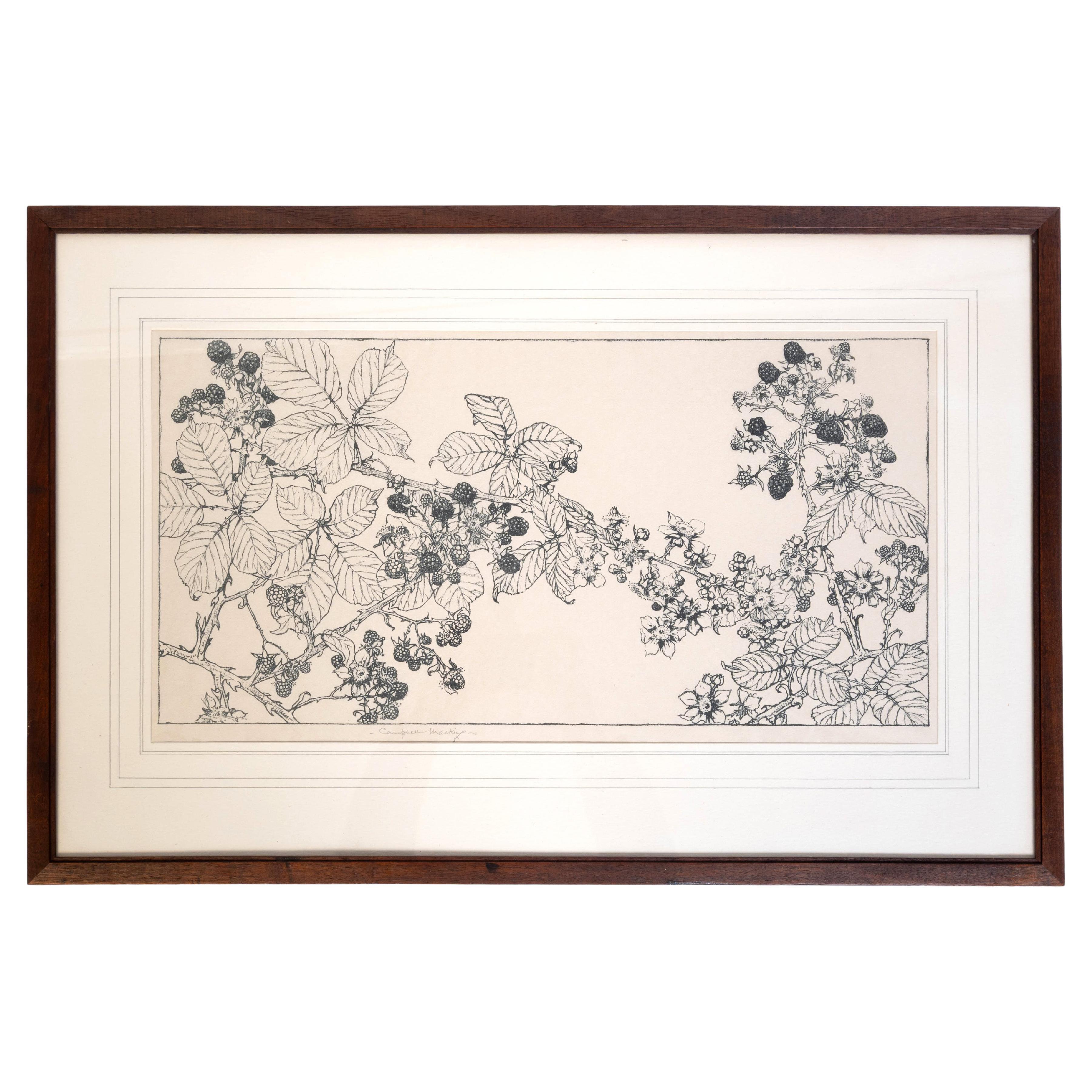Antique Framed Botanical Etching Scotland C.1920 For Sale