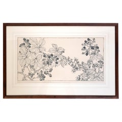 Antique Framed Botanical Etching Scotland C.1920