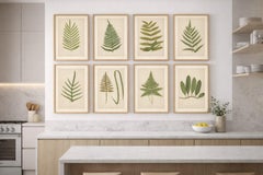 Antique Botanical Fern Prints, Polypodium Studies Decorative Set Lowe 1856