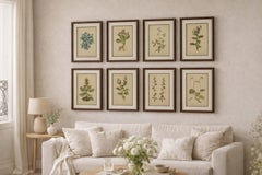 Stampe botaniche antiche Flora alpina set di 8, cromolitografie, 1897