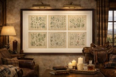 Antique Botanical Prints Set, German Wildflowers Atlas Plates, Stuttgart 1885