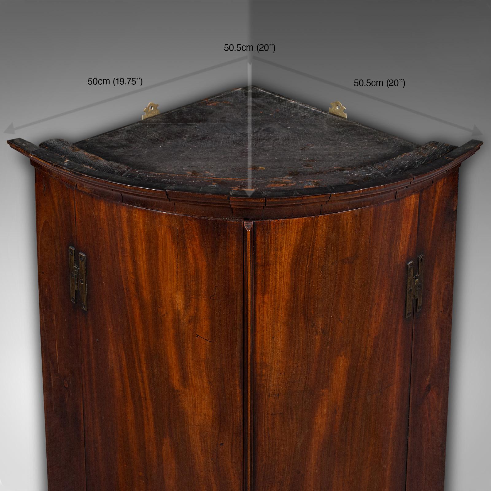 Antiker Eckschrank mit Bogenfront, englisch, Eiche, Wandschrank zur Wandmontage, georgianisch im Angebot 2