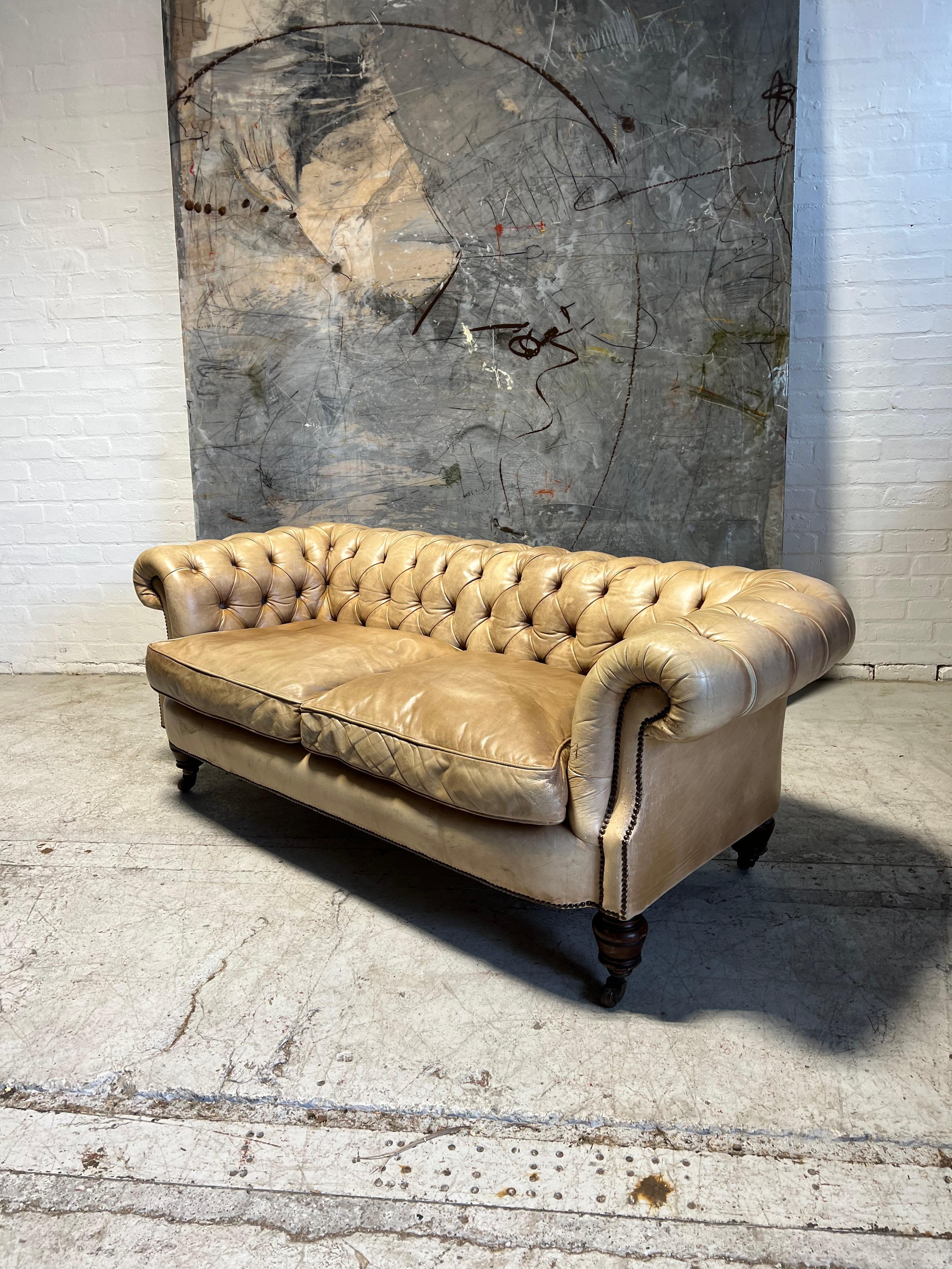 Antike Bow Fronted 19thC Chesterfield Sofa in Hand gefärbt Pergament Leder im Angebot 1