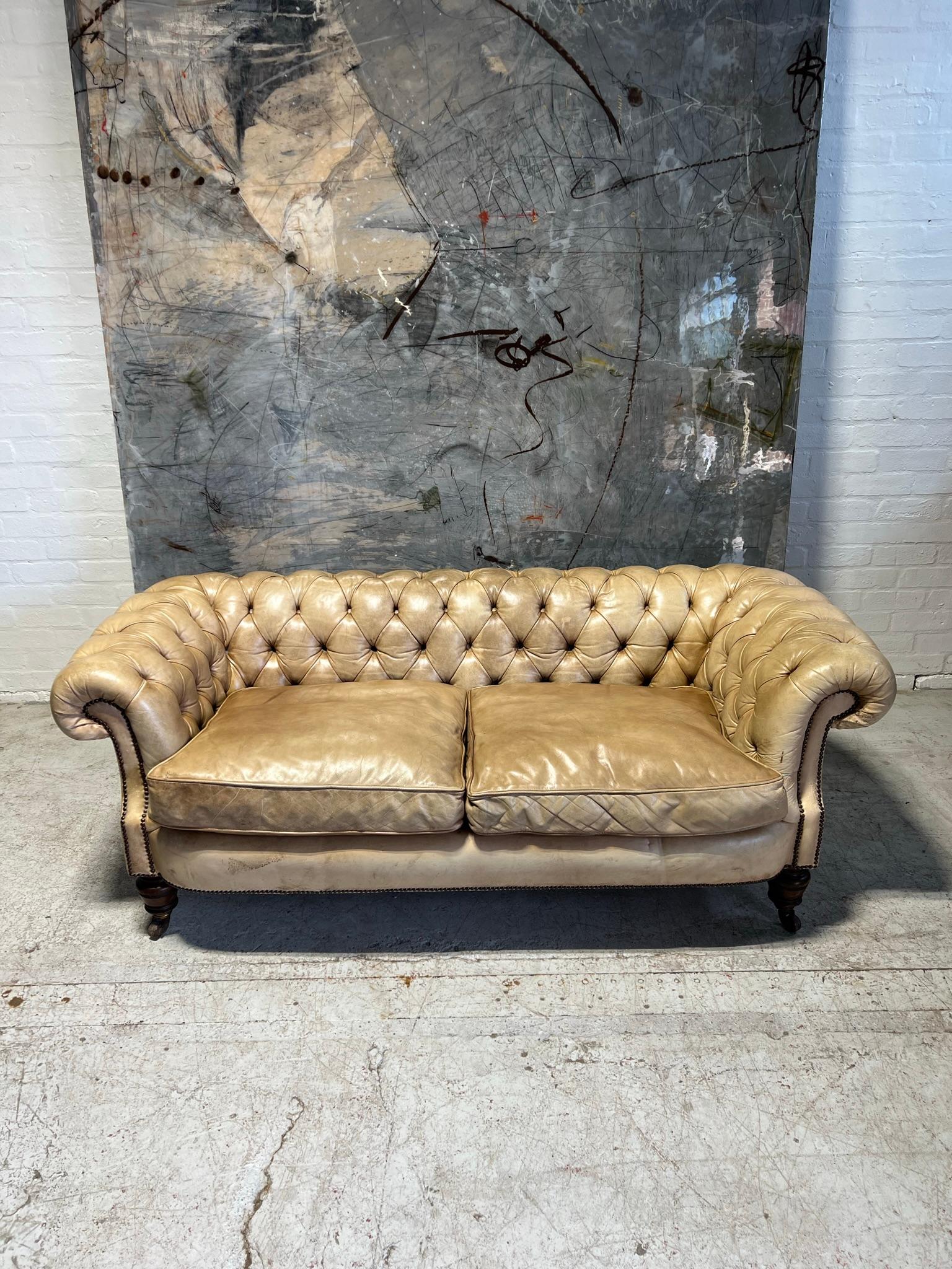 Antique Bow Fronted 19thC Chesterfield Sofa in Hand Dyed Parchment Leather For Sale 2
