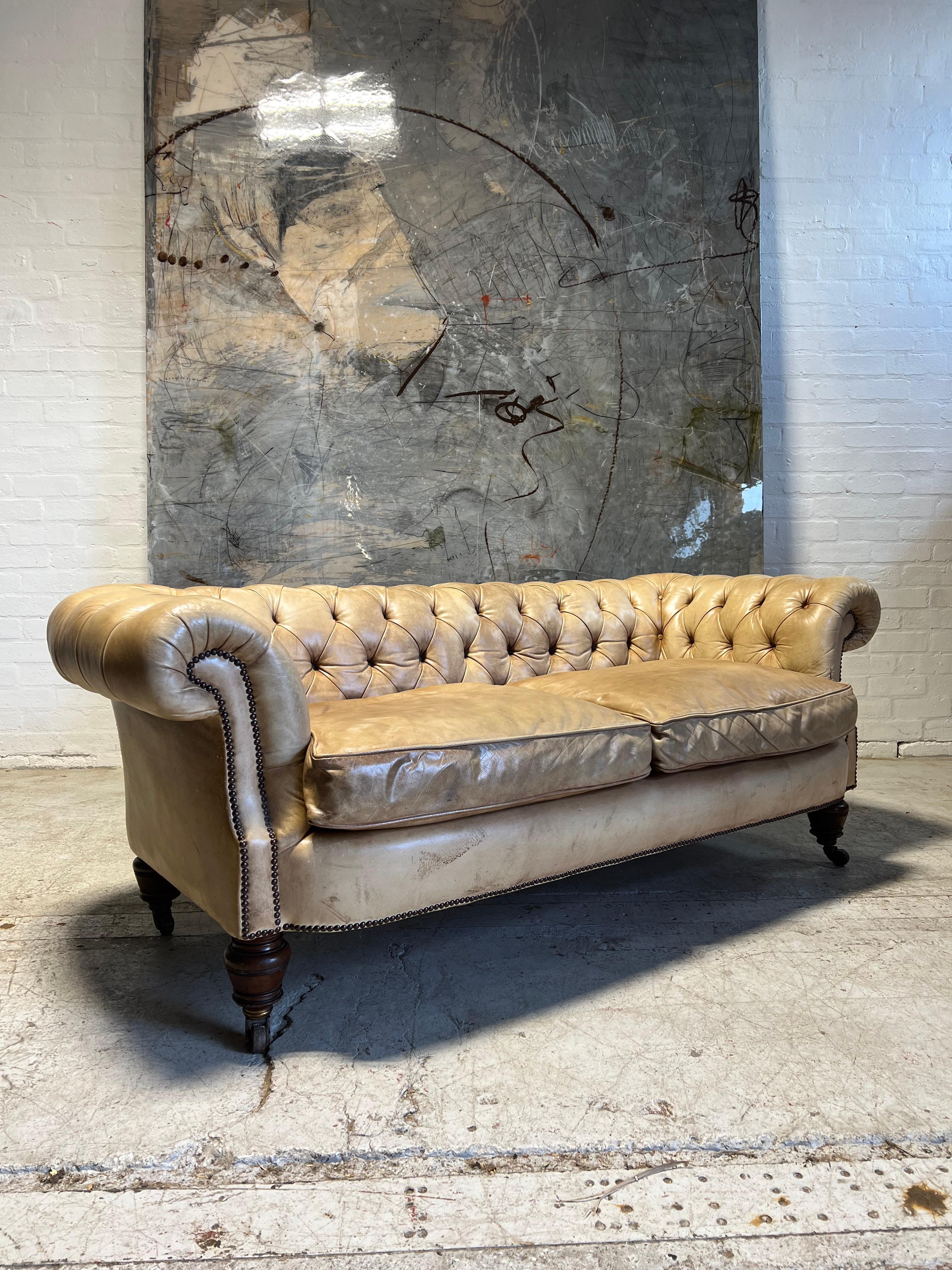 Antique Bow Fronted 19thC Chesterfield Sofa in Hand Dyed Parchment Leather For Sale 3