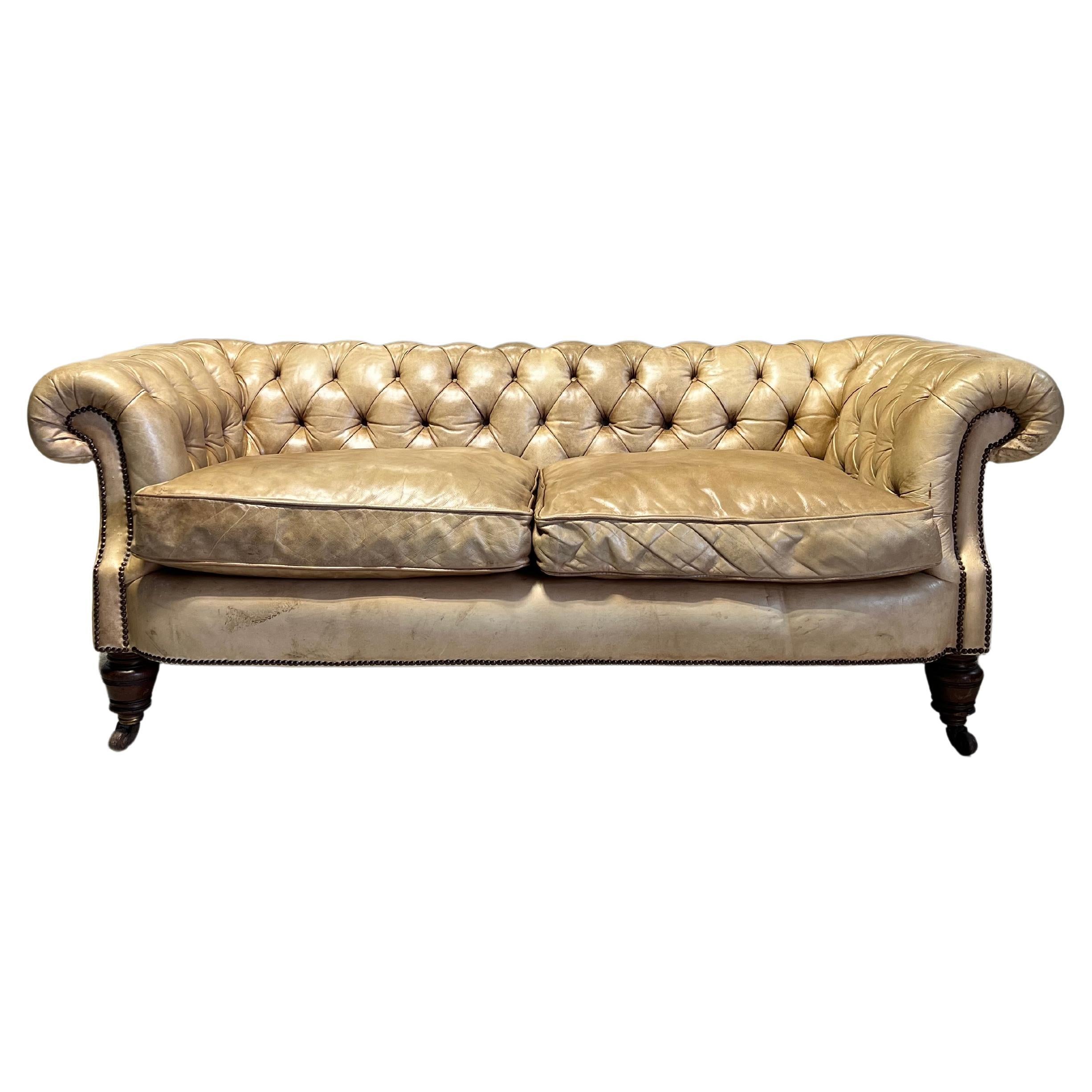 Antique Bow Fronted 19thC Chesterfield Sofa in Hand Dyed Parchment Leather For Sale