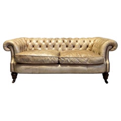 Used Bow Fronted 19thC Chesterfield Sofa in Hand Dyed Parchment Leather