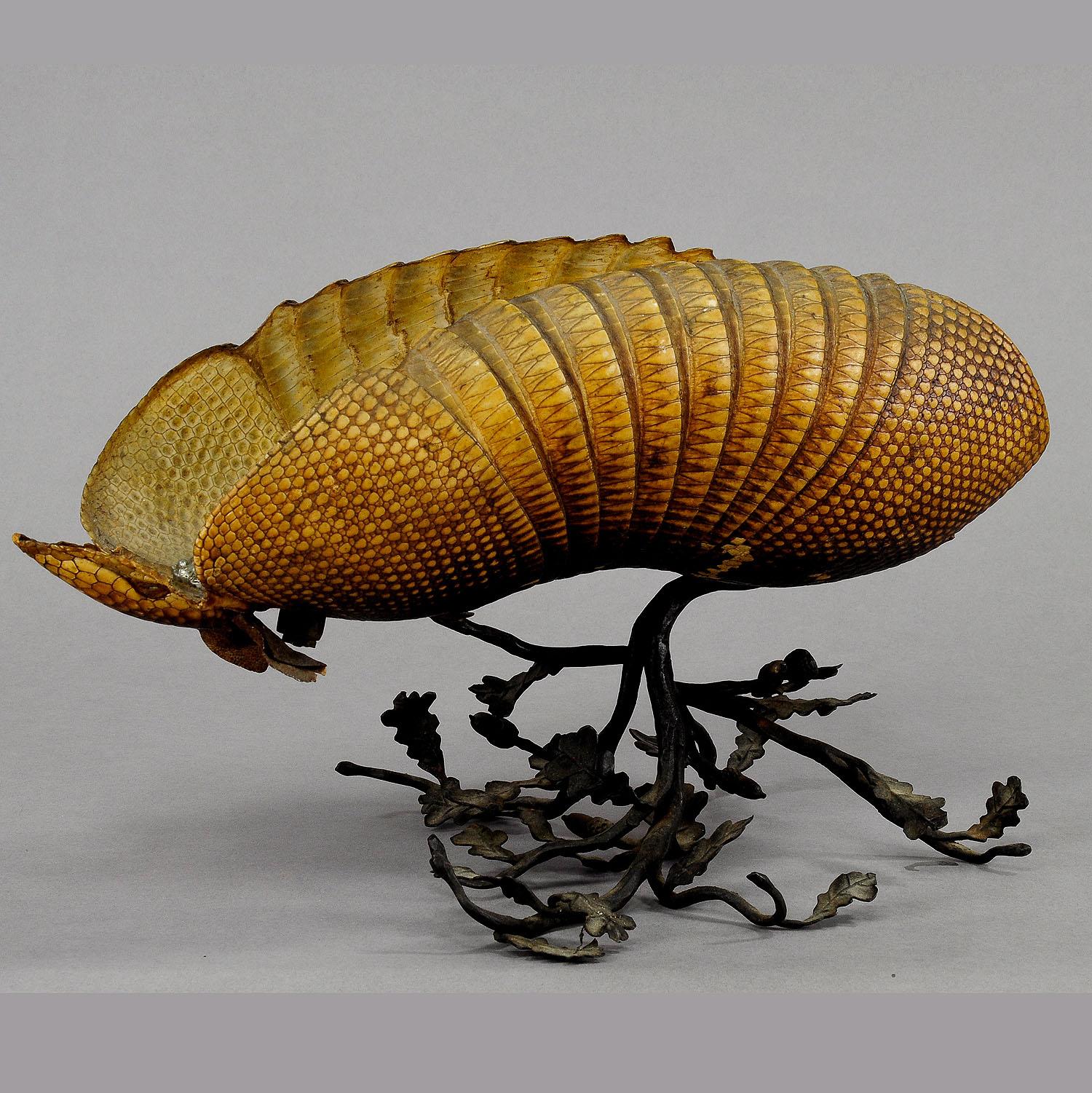 Item e4856
An rare antique bowl made of an armadillo shell mounted on a handforged iron base depicting branches and leaves of the oak tree. inside the bowl two casted brass handles. manufactured circa 1920.

Measures: Length 15.35