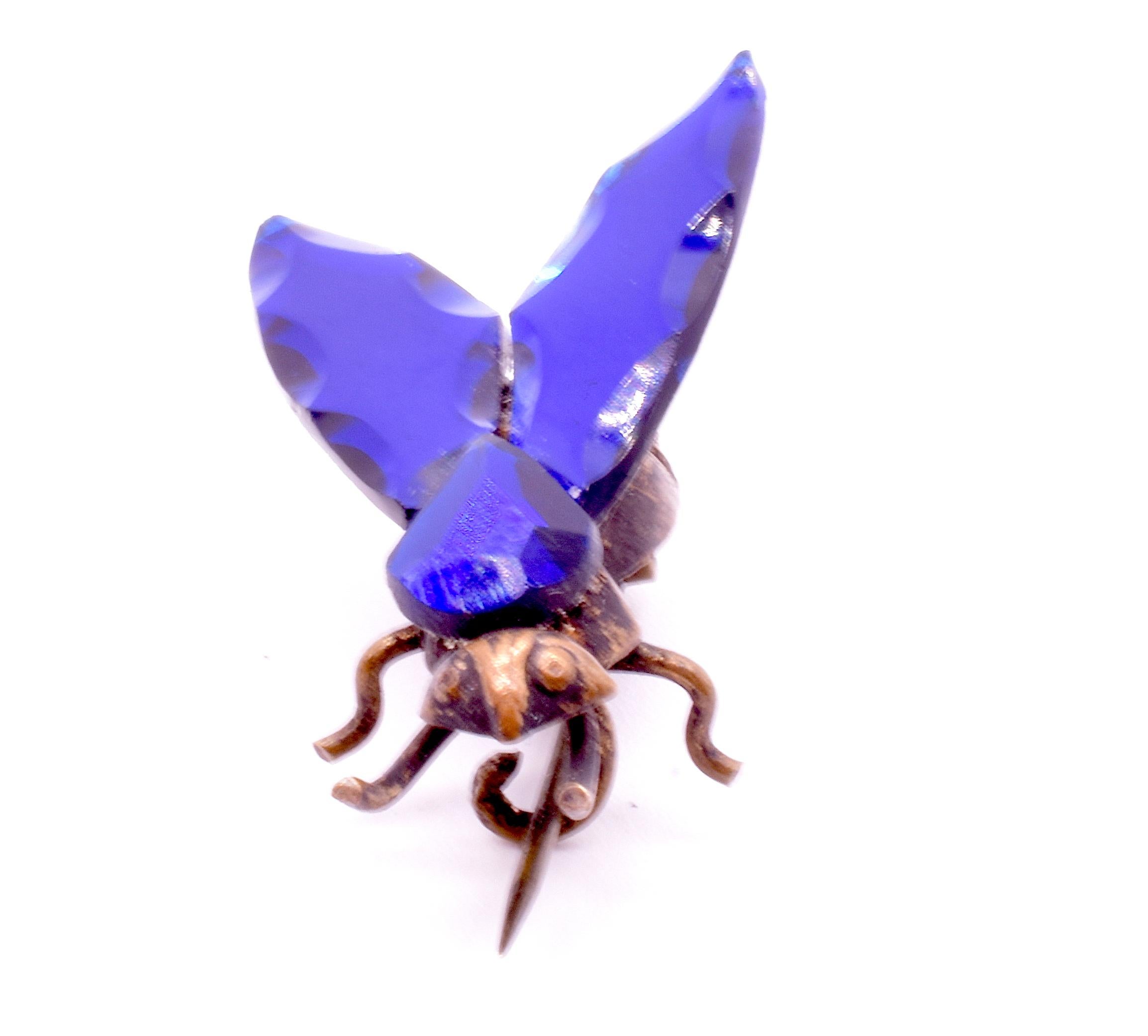 bristol beetle