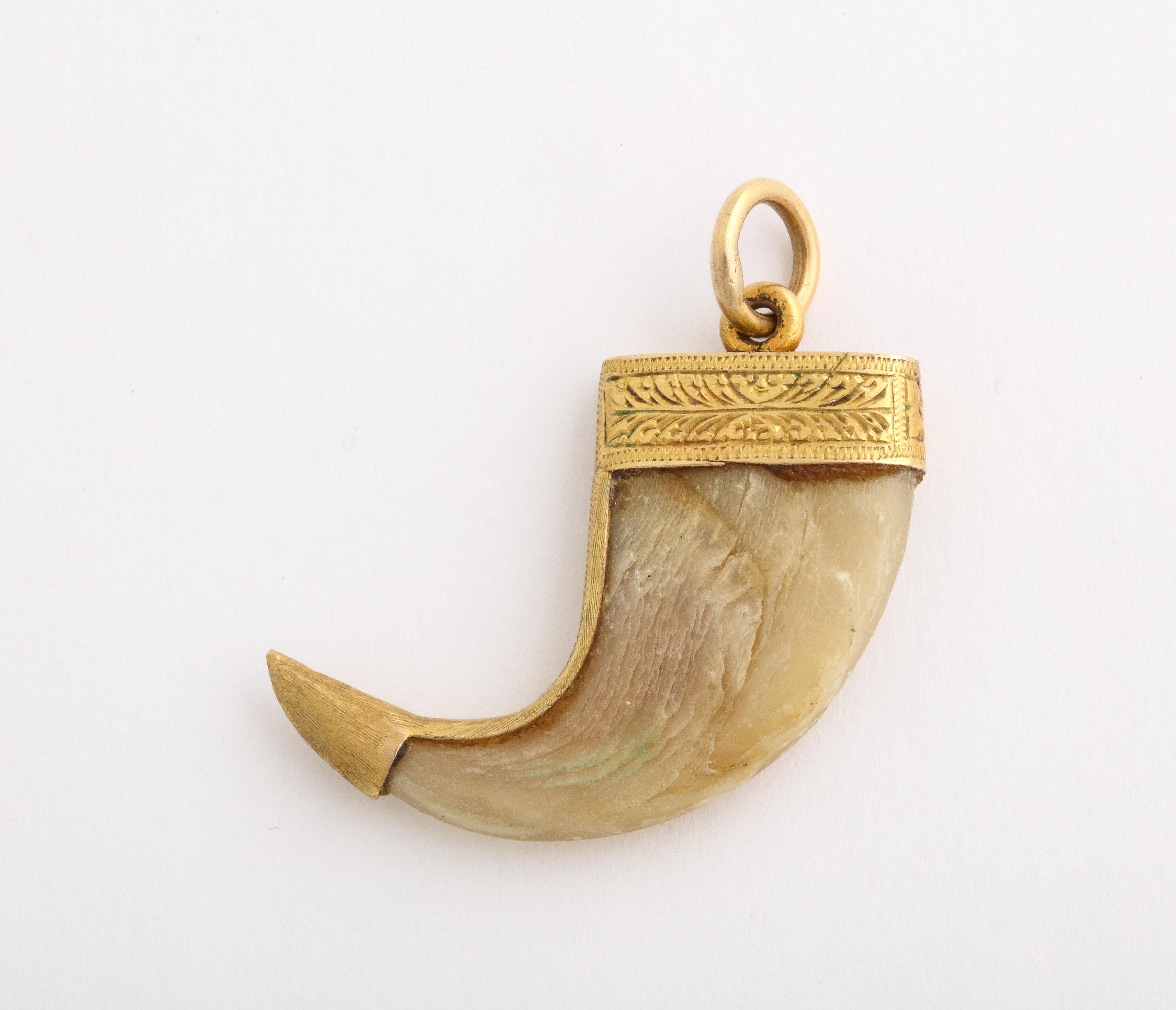 An actual tiger claw with gold trimmed decoration was made in the Victorian period during the control of India by Great Britain. The period was known as the British Raj. The tiger claw was worn over most of India as a sign of power and to ward off
