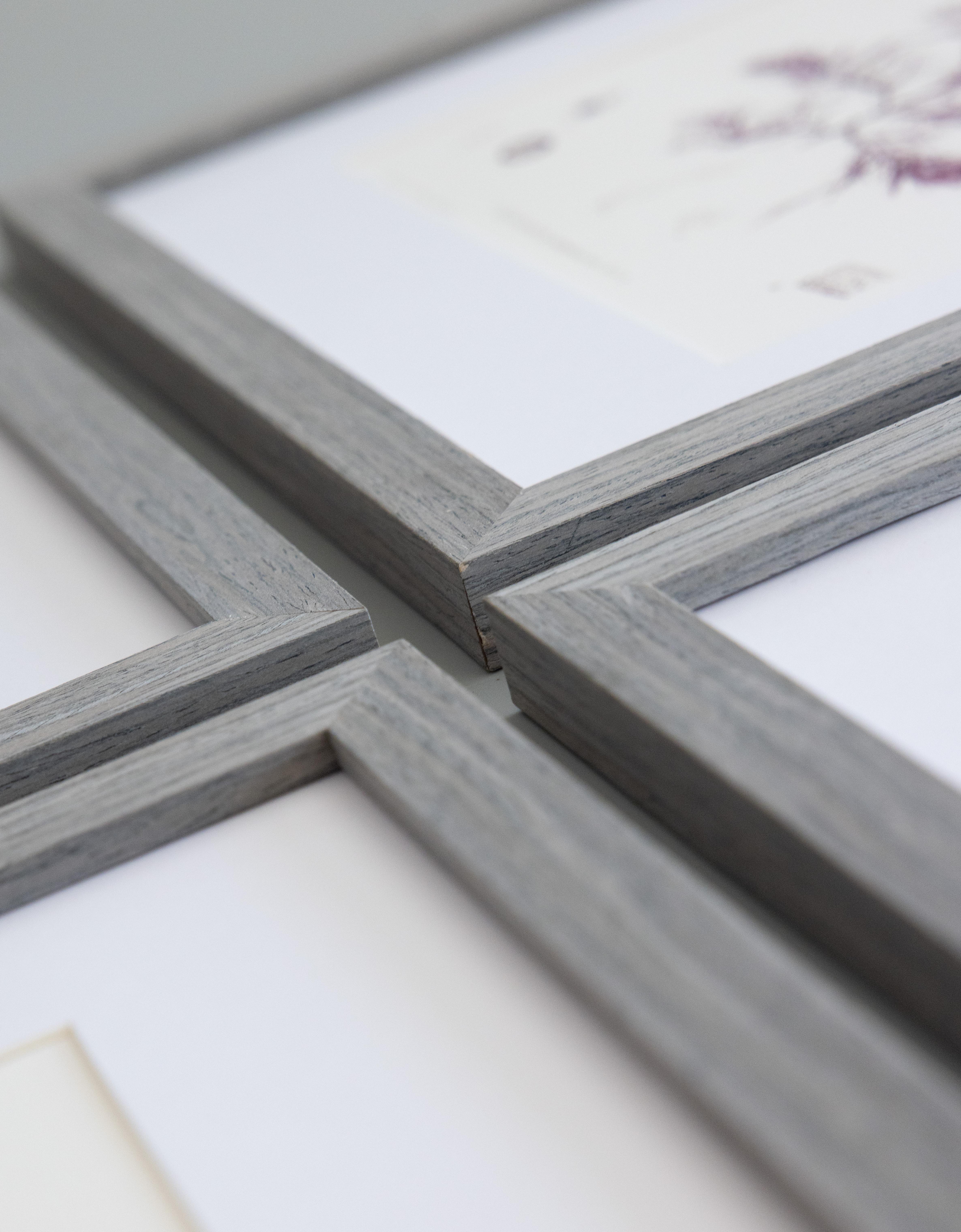 Custom Framed British Seaweed Giclée Prints - Set of Four For Sale 5
